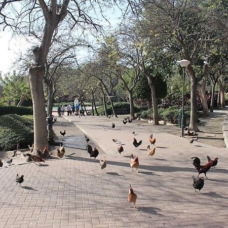 Apartamento Playa Benalmadena Las Golondrinas المظهر الخارجي الصورة